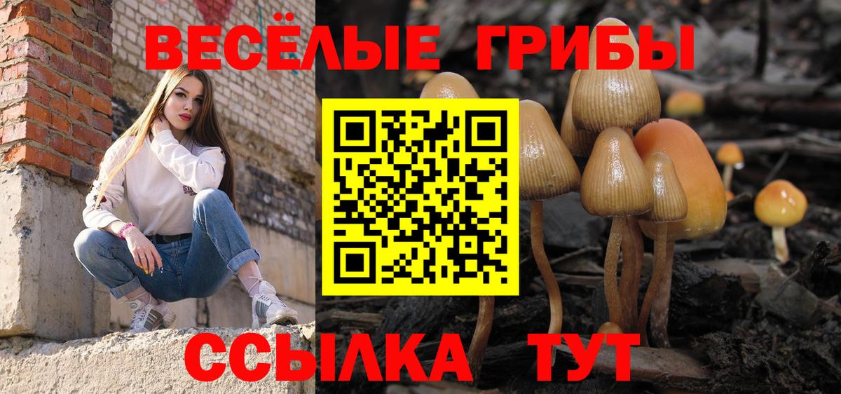 Галлюциногенные грибы Magic Shrooms Апшеронск